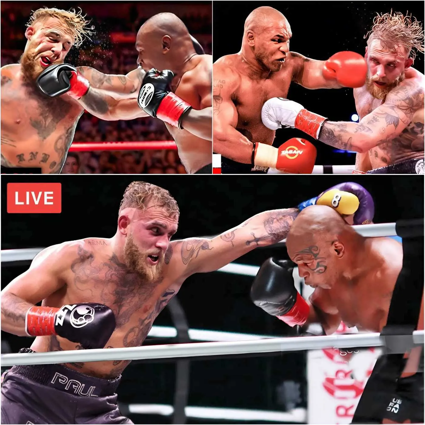 Cover Image for Le roi de la boxe Mike Tyson détruit Jake Paul dans un KO explosif de 50 secondes, forçant Paul à demander de l’aide à son équipe pour quitter le ring