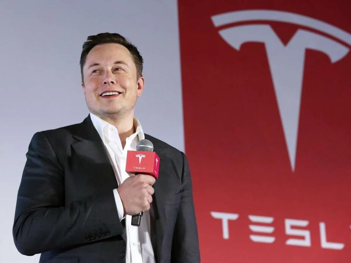 Elon Musk Fan Gained 2,900% On Tesla Stocks & Then Saw $1.5 Million Wiped Away